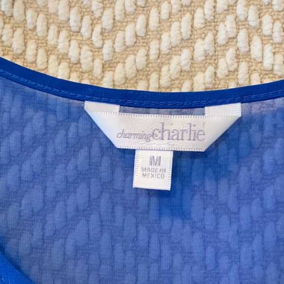 Charming Charlie’s summer blouse EUC - Picture 3 of 7